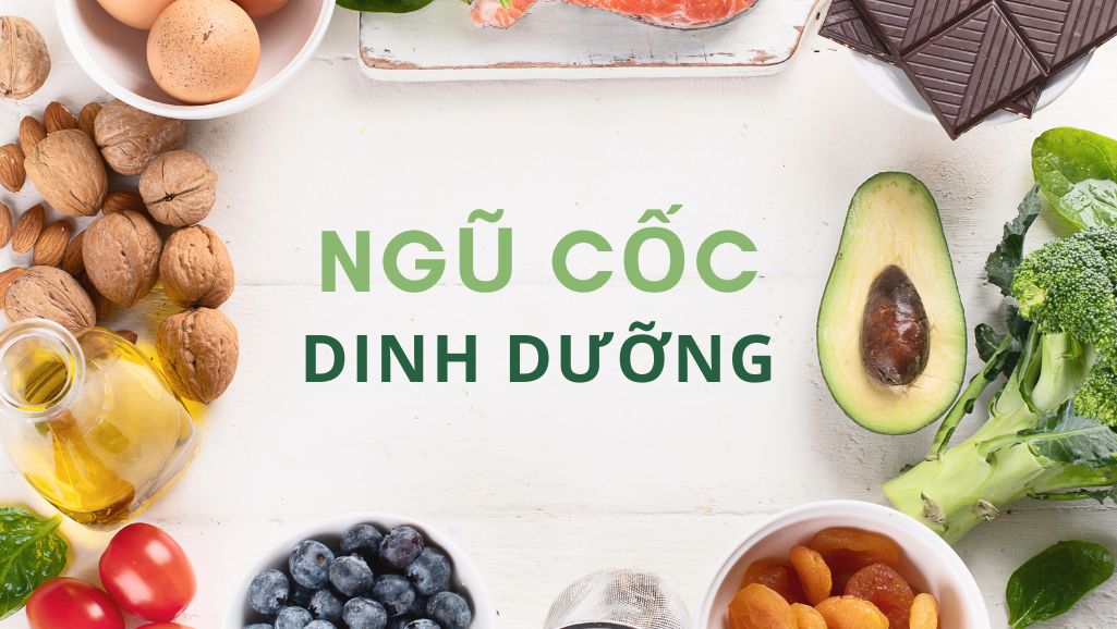 Ngũ Cốc Dinh Dưỡng Là Gì